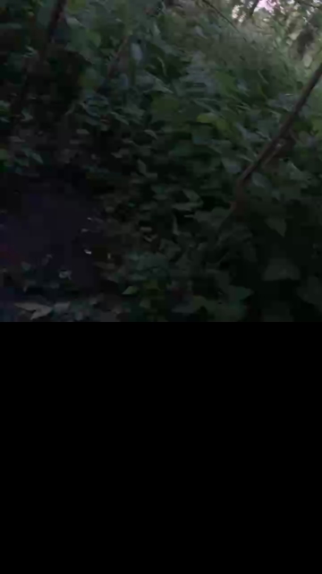 AlphaProll81  18-07-2021 Recorded Video Porn